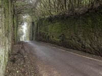 Exploring the Gloomy Forest Roads of Spain