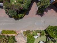 a view of a small town street with bushes, trees and a motorbike