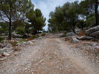 Spain Landscape: Mountain Road in Mallorca