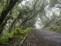 Spain Landscape: Road Made of Asphalt