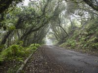 Spain Landscape: Road Made of Asphalt