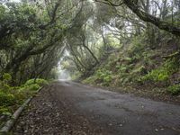 Spain Landscape: Road Made of Asphalt