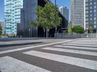 Spain's Modern Architecture: Tree-Lined Streets and Pedestrian Crosswalks