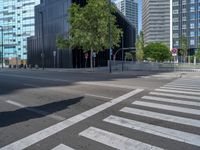 Spain's Modern Architecture: Tree-Lined Streets and Pedestrian Crosswalks