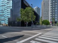 Spain's Modern Architecture: Tree-Lined Streets and Pedestrian Crosswalks