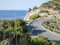 Landscape of Spain: Mountains, Nature, and Trees