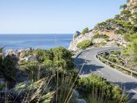 Landscape of Spain: Mountains, Nature, and Trees