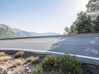 Spain Mountain Landscape Nature Trees 002