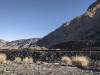 the man rides his skate board on the rocks near a mountain valley and dry grass