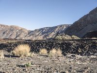 the man rides his skate board on the rocks near a mountain valley and dry grass