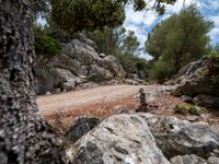 a mountain side with rock outcropping and pine trees in the distance near large boulders