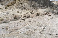 a man rides a horse through the desert mountains and rocks on the other side of him