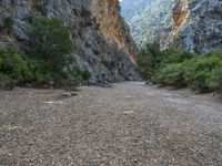 Spain's Nature: Canyon Daylight in the Balearic Islands