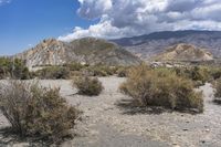 Nature in Spain: Desert with Grass