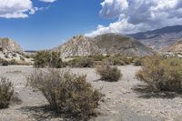 Nature in Spain: Desert with Grass