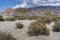 Nature in Spain: Desert with Grass