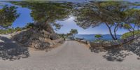 a convex lens view of an empty road by the ocean and trees on the side of the road