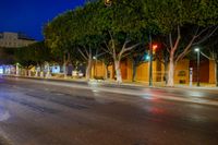 traffic lights shine brightly at night along the street on a rainy street corner with large trees