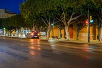 traffic lights shine brightly at night along the street on a rainy street corner with large trees