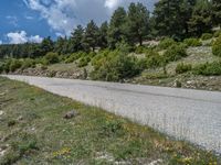 Spain's Pyrenees: A Road Amidst the Mountains