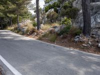 a skate board is sitting on the edge of a road by rocks and trees to the left,