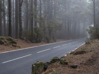 the empty road is winding along a forested area in the foggy woods next to the mountains