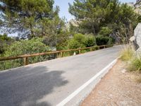 a tree lined road with a steep slope in the background with trees and bushes around