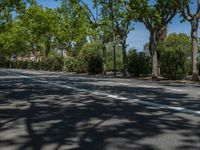 Spain's Streets: Where Trees and Shadows Create a Cityscape