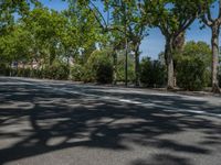 Spain's Streets: Where Trees and Shadows Create a Cityscape