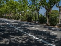 Spain's Streets: Where Trees and Shadows Create a Cityscape