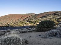 a large desert area with a winding road and lots of vegetation and weeds surrounding it