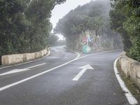 a road with some signs on it and trees in the background on a foggy day