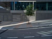 Spain's Urban Alley: A Modern Asphalt Road in Barcelona