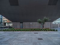 a view inside a building looking down at the pavement and trees with bushes around it