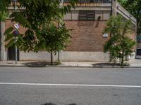 a tree sitting next to a large brick building and sidewalk, with cars parked at the edge