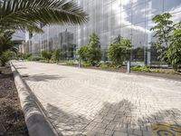 a walkway in front of a glassy building with palm trees and grass in the foreground