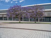 Spain's Urban Design: Greenery and Open Space in the City