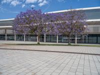 Spain's Urban Design: Greenery and Open Space in the City