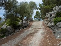 a dirt road that is made of rocks and a stone wall between trees and some rocks