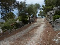 a dirt road that is made of rocks and a stone wall between trees and some rocks