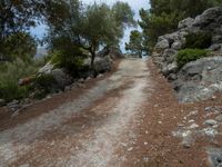 a dirt road that is made of rocks and a stone wall between trees and some rocks