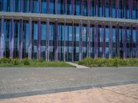 a building with pink glass and purple striped exterior is shown with the brick path on the left