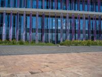 a building with pink glass and purple striped exterior is shown with the brick path on the left