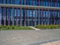 a building with pink glass and purple striped exterior is shown with the brick path on the left