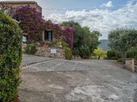 Spanish Agriculture: Farmhouses in a European Landscape