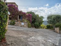 Spanish Agriculture: Farmhouses in a European Landscape