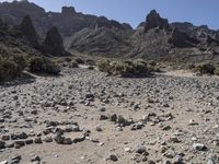 dry vegetation and rocks are on an arid landscape with a mountain behind them on a clear day