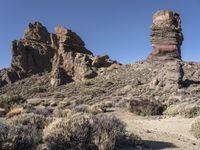 Spanish Desert Road: Exploring the Wilderness of Nature