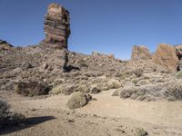 Spanish Desert Road: Exploring the Wilderness of Nature