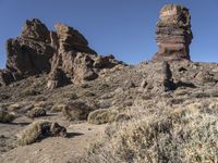 Spanish Desert Road: Exploring the Wilderness of Nature